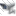 Camera IP